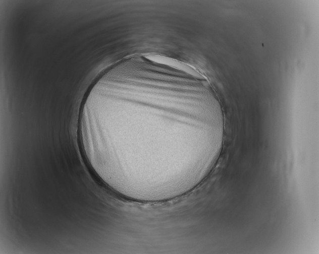 X0000088750003200706282214