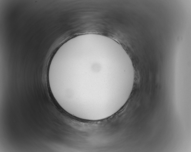 X0000088750004200706282214