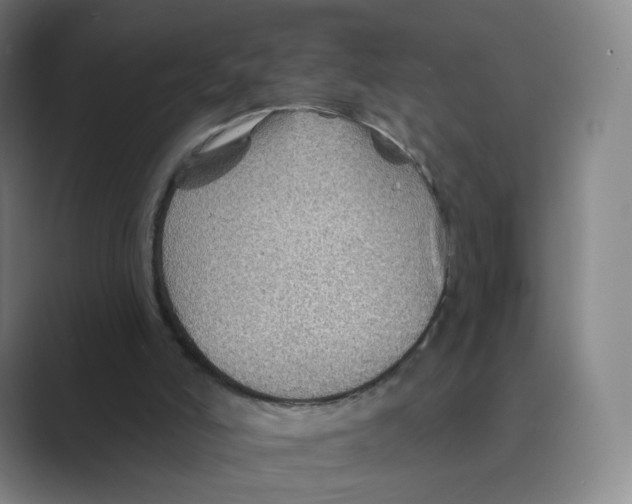 X0000088750006200706282214