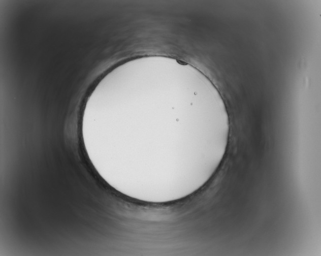 X0000088750008200706282214