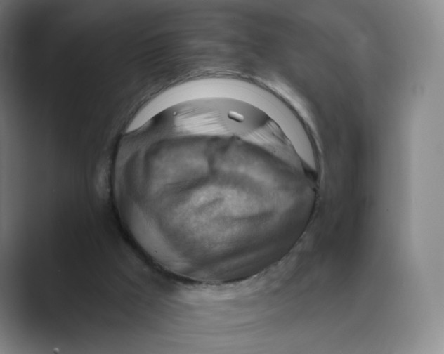 X0000088750009200706282214