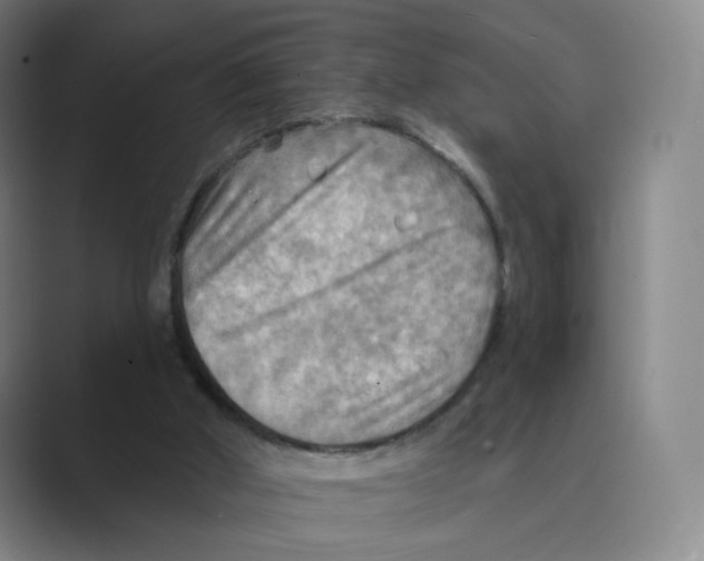 X0000088750010200706282214