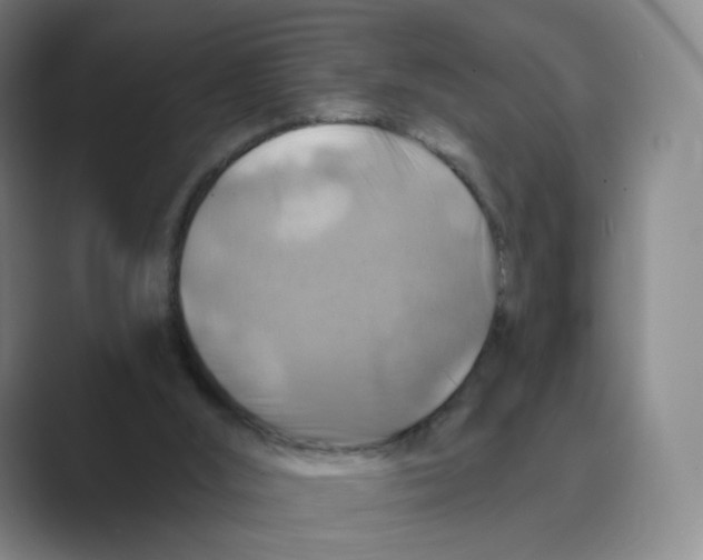 X0000088750012200706282214