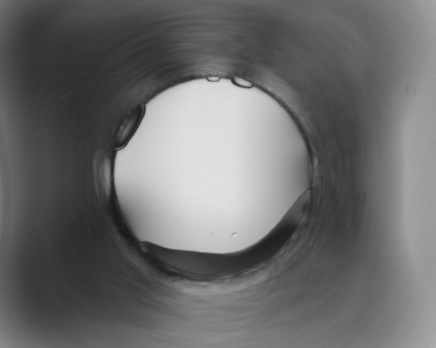 X0000088750013200706282214