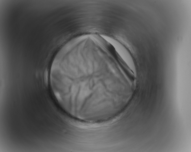 X0000088750014200706282214