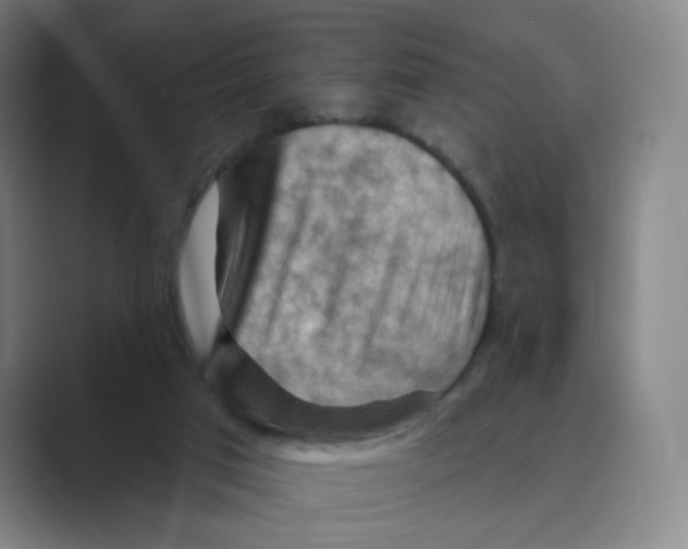 X0000088750017200706282214