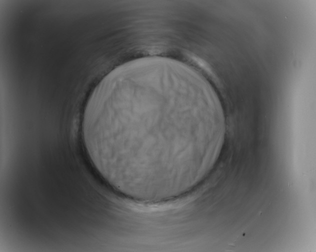 X0000088750018200706282214