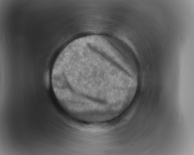 X0000088750020200706282214