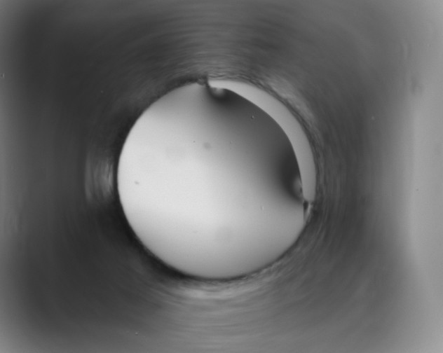 X0000088750021200706282214