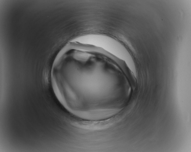 X0000088750023200706282214