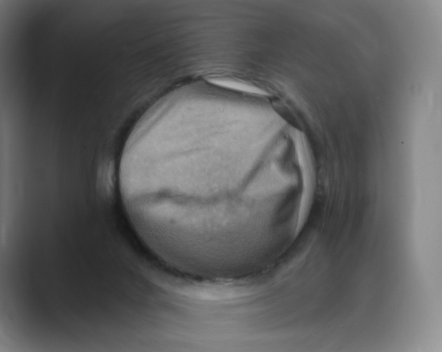 X0000088750024200706282214