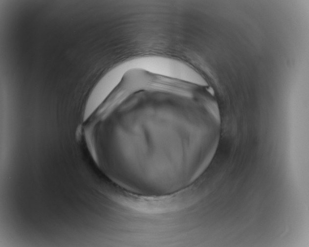 X0000088750027200706282214