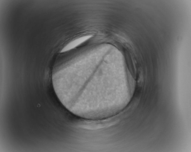 X0000088750029200706282214