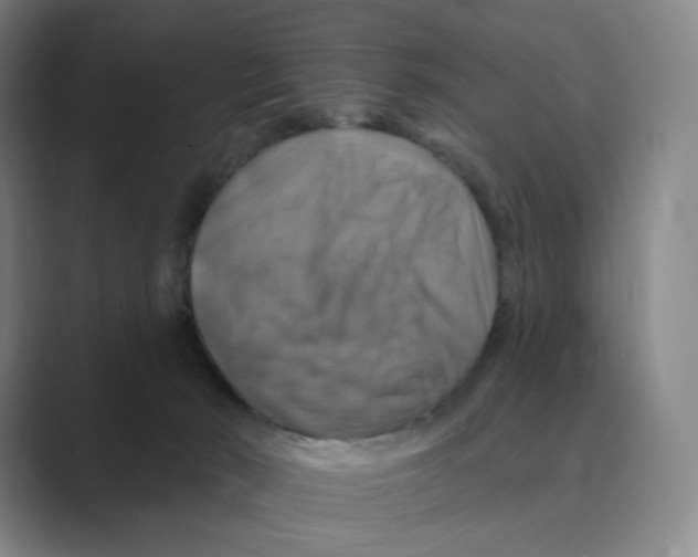 X0000088750030200706282214