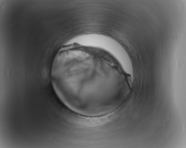 X0000088750031200706282214