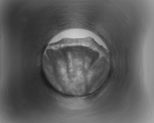 X0000088750032200706282214