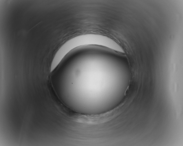 X0000088750033200706282214