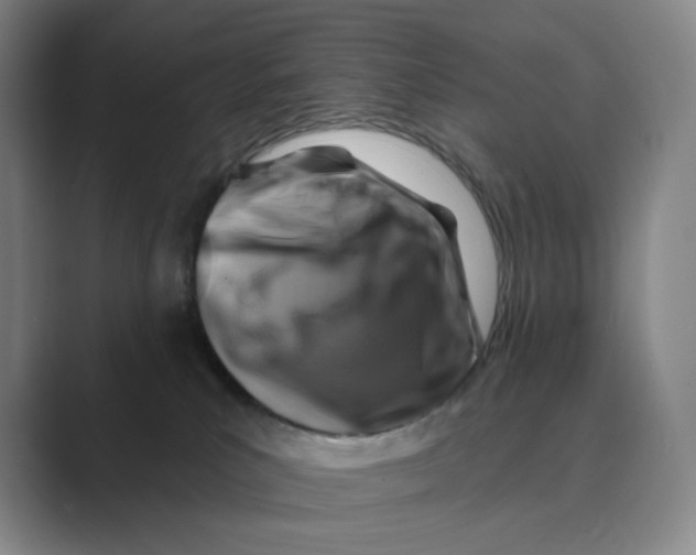 X0000088750039200706282214