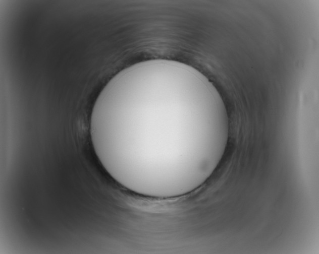 X0000088750040200706282214