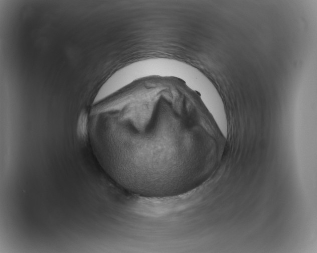 X0000088750041200706282214