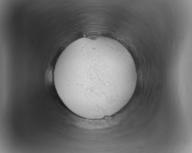 X0000088750042200706282214