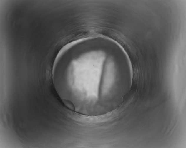 X0000088750043200706282214