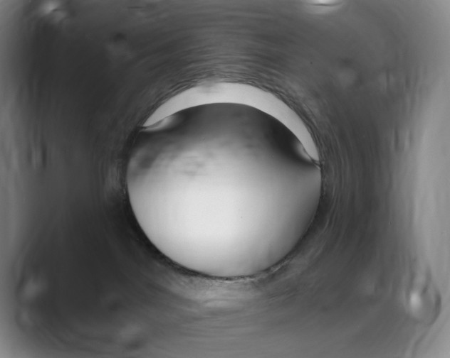 X0000088750044200706282214