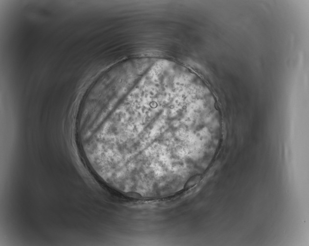 X0000088750049200706282213