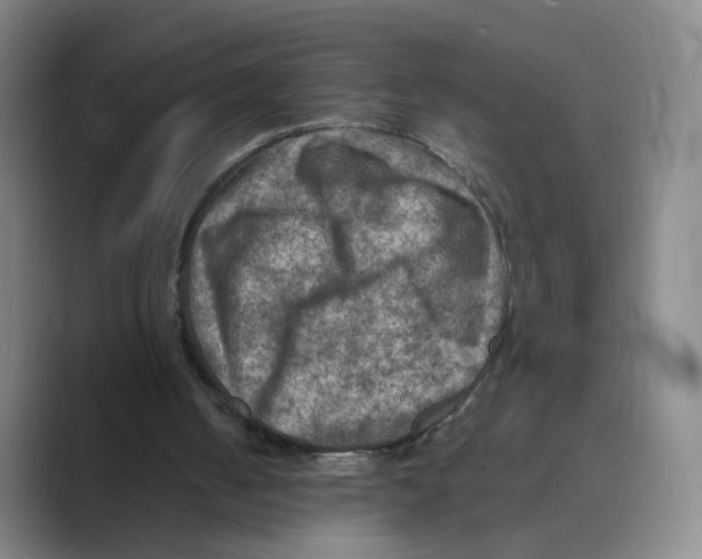 X0000088750050200706282213