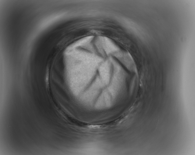 X0000088750052200706282213