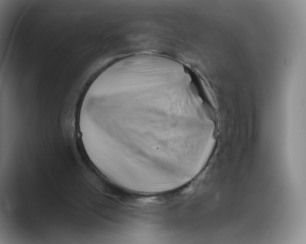 X0000088750054200706282213