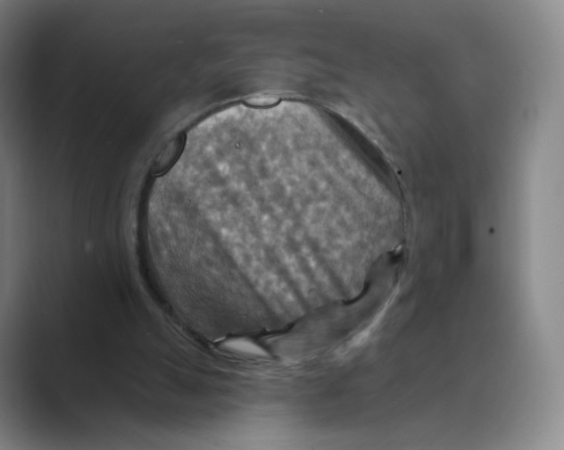 X0000088750055200706282213