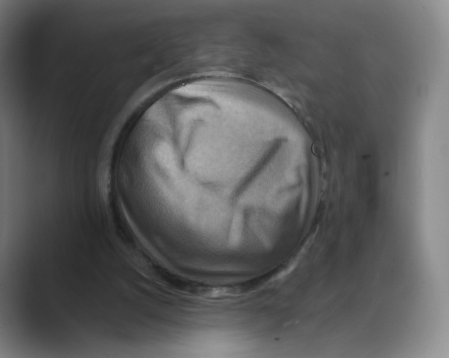 X0000088750056200706282213