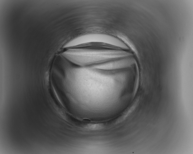 X0000088750057200706282213