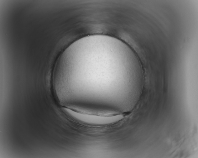 X0000088750058200706282213