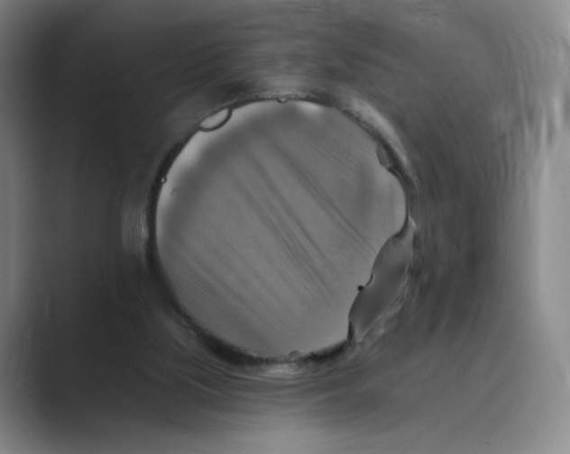 X0000088750059200706282213