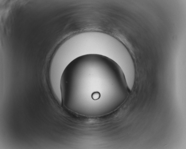 X0000088750060200706282213