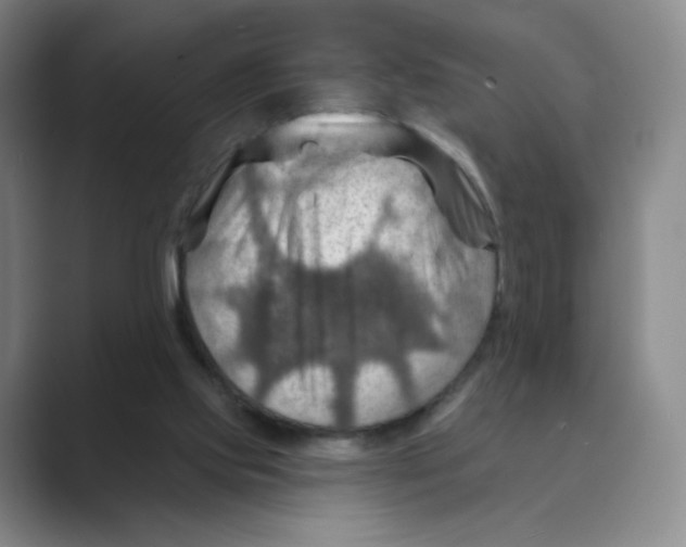 X0000088750061200706282213