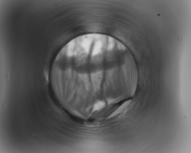 X0000088750062200706282213