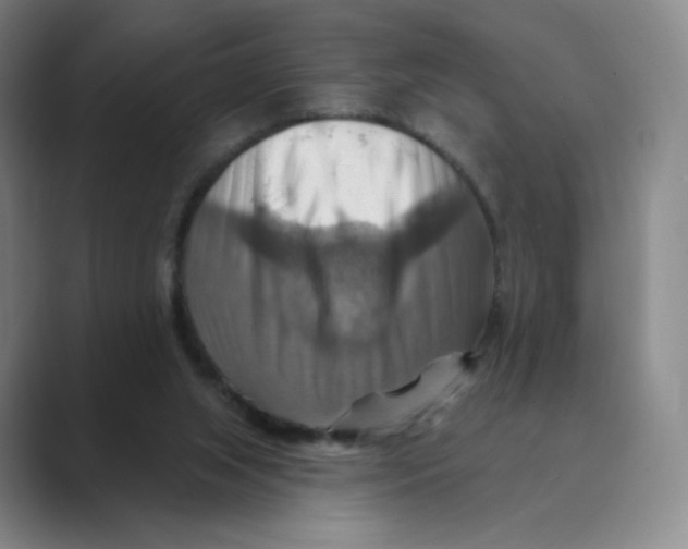 X0000088750063200706282213