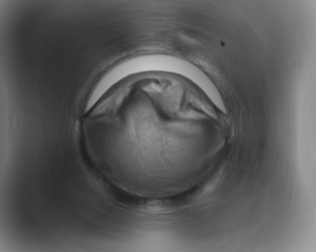 X0000088750064200706282213