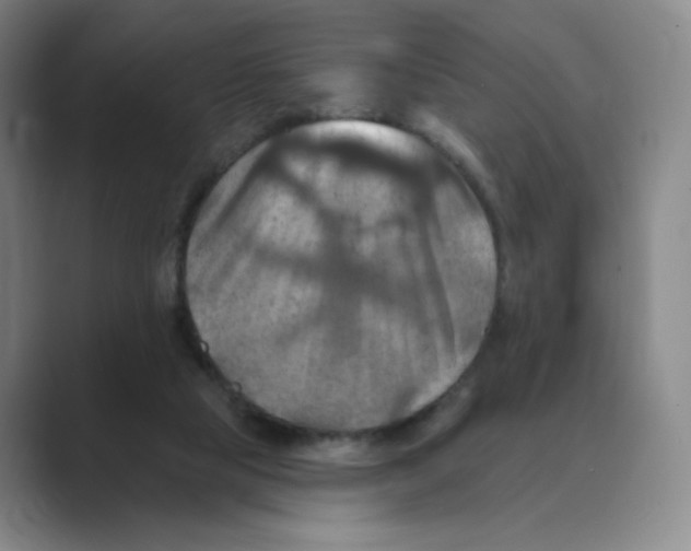 X0000088750065200706282213