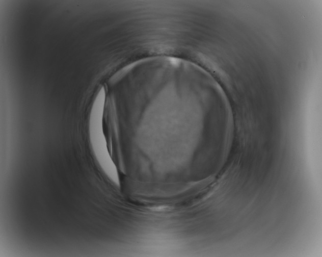 X0000088750067200706282213