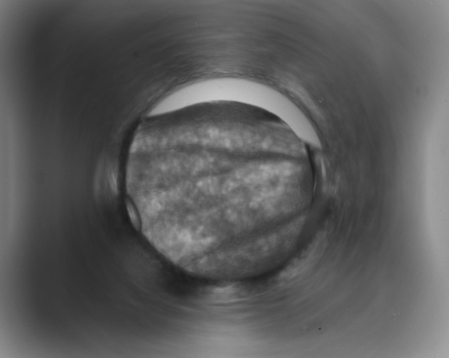 X0000088750068200706282213