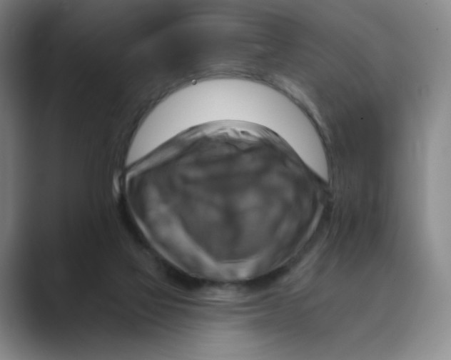 X0000088750069200706282213