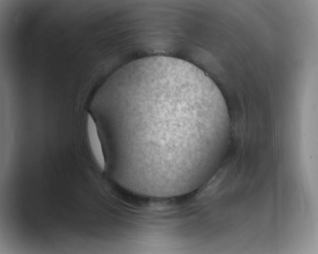 X0000088750070200706282213