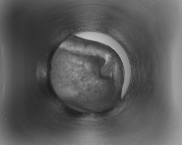 X0000088750072200706282213