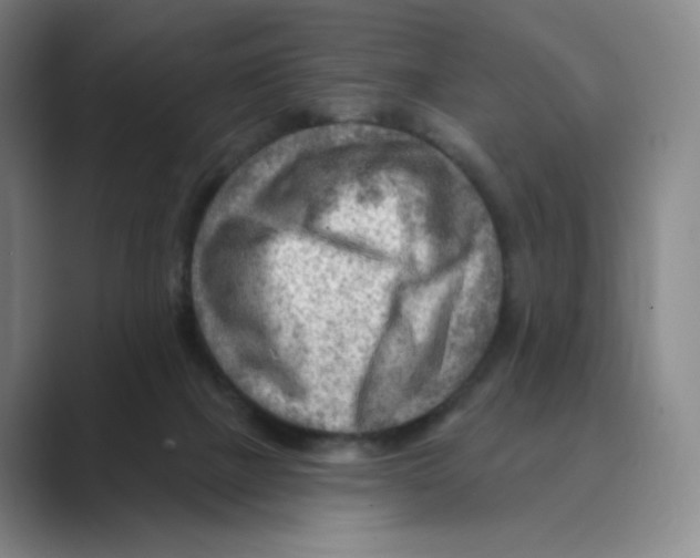 X0000088750073200706282213