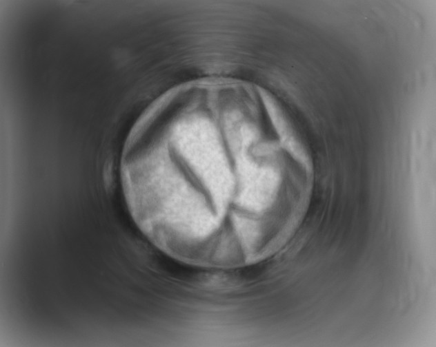 X0000088750074200706282213