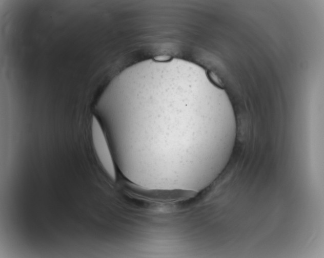 X0000088750077200706282213